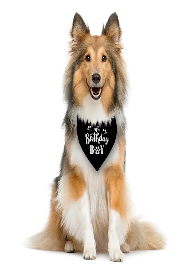 ZPPRJF Birthday Boy Dog Triangle Scarf, Black, Fun Cute Triangle Dog Scarf Accessory for Small, Medium & Large Dogs (D29) - Image 3